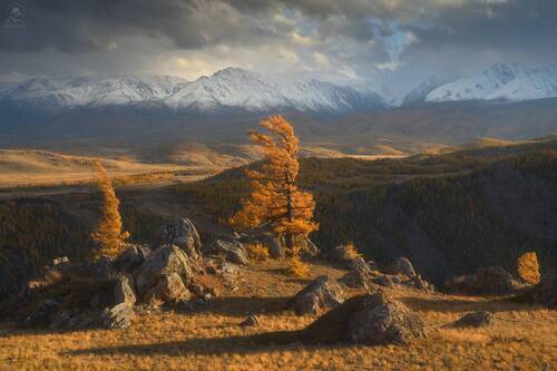 НА ВЕТРАХ