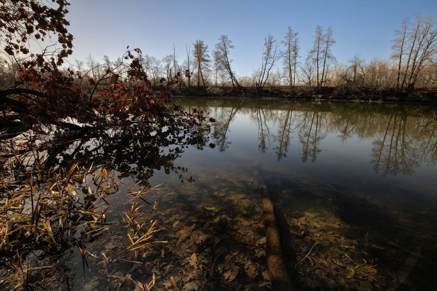 , Александр Бредихин