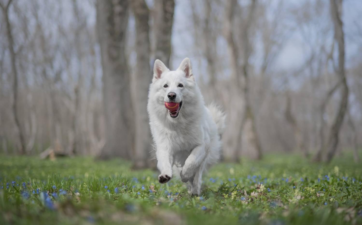 , Яна Кудлай