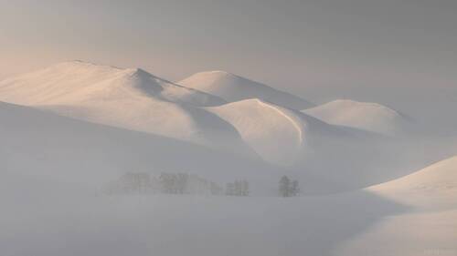 Долгих миражи