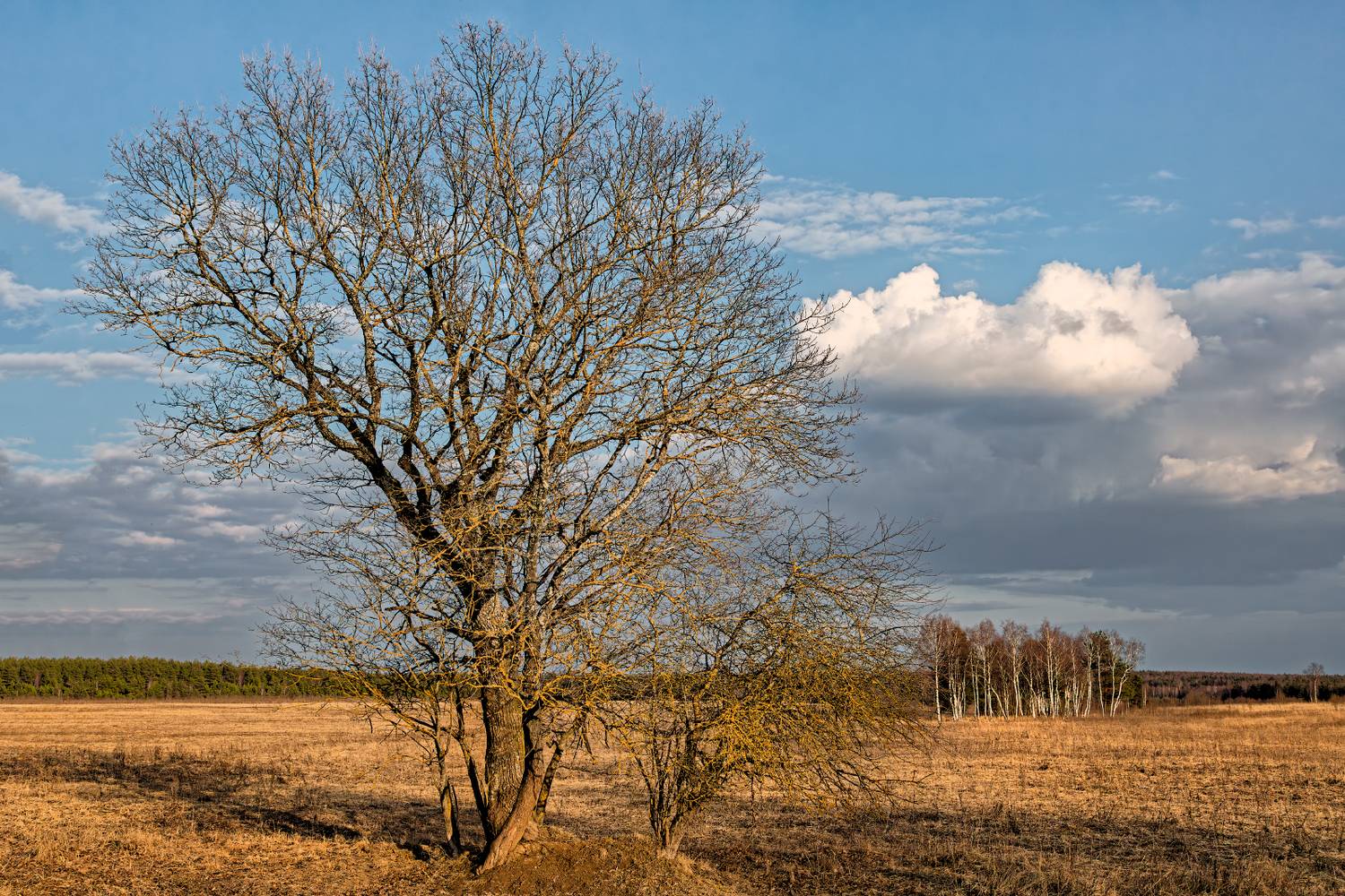 , Евгений Ерохин