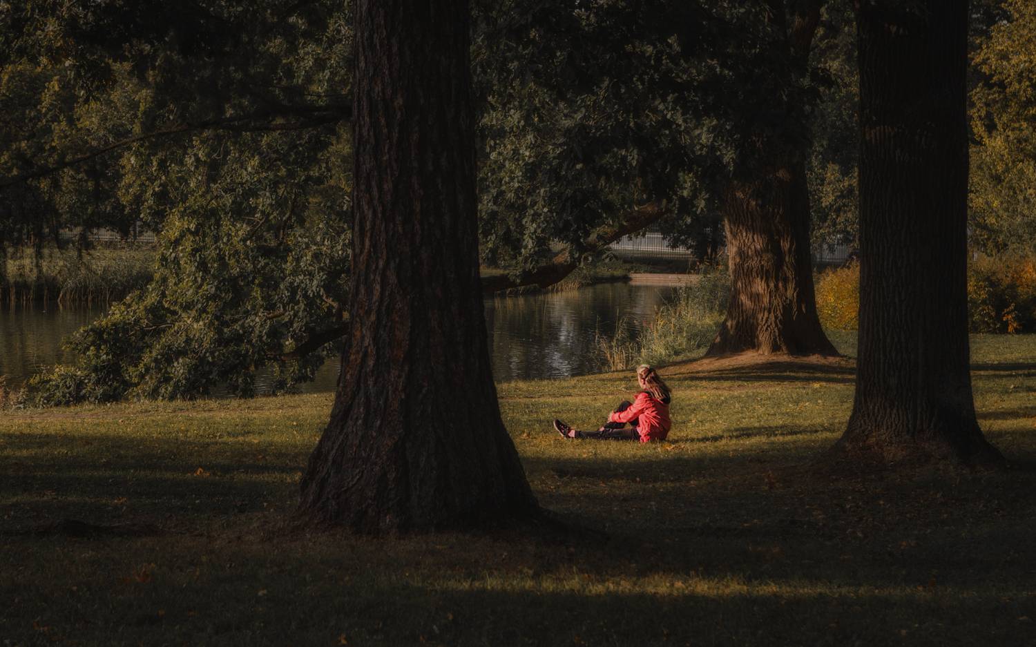 , Олег Дунаев