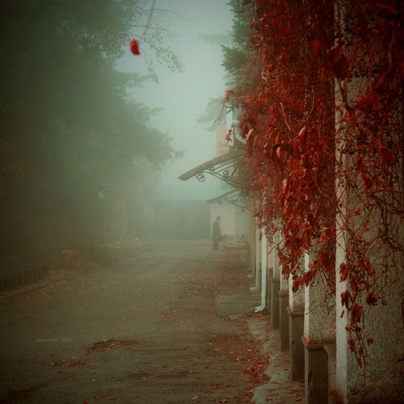 Untitled фото превью