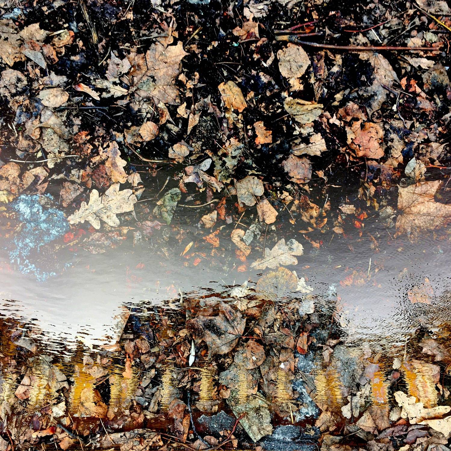 , Антон Лаба