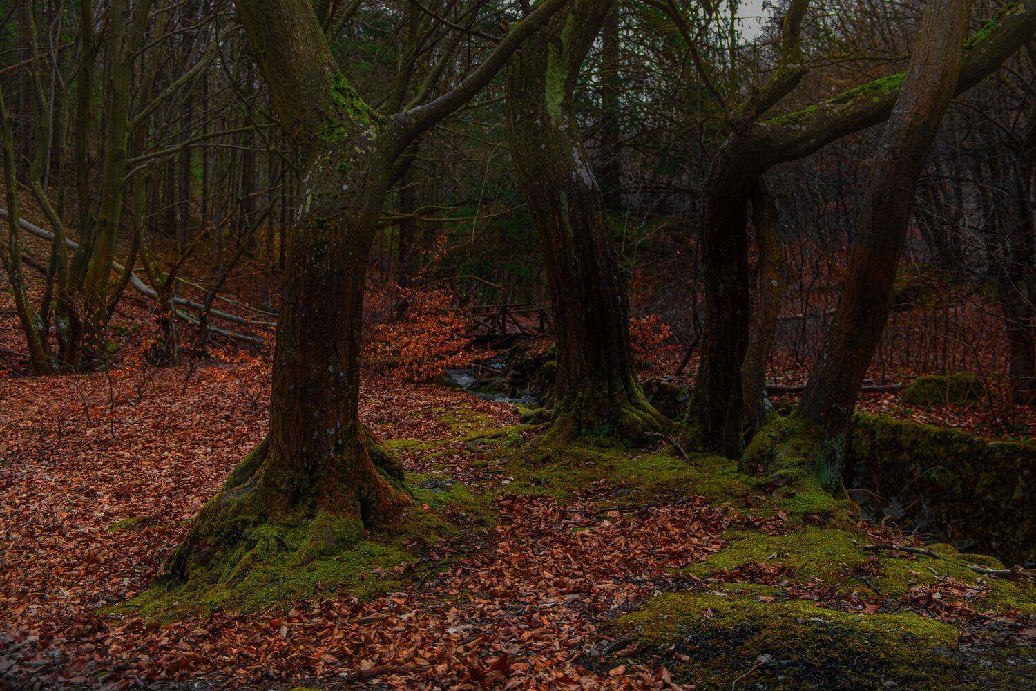 , Николов Андриян