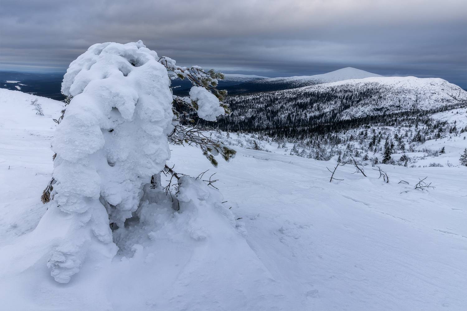 кольский, кандалакша, белое море, мурманская область, Телешов Александр