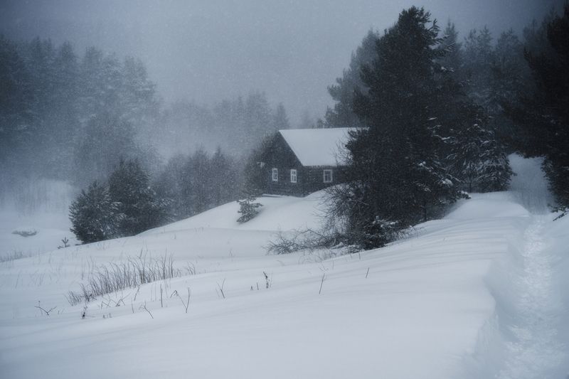 метель, снег, март, зима, кенозерье Весенняя метель фото превью
