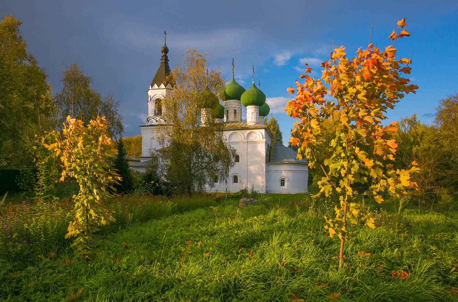 монастырь, вологда, осень, клены, Наталия Колтакова