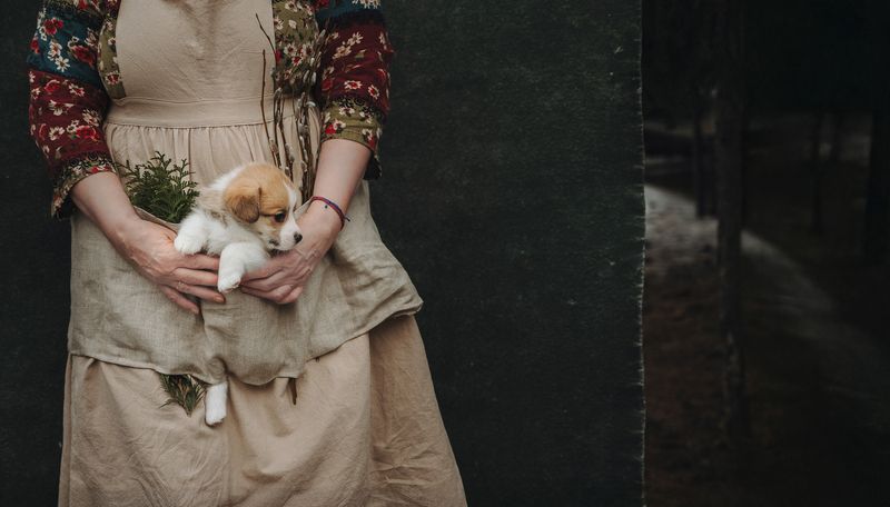 фото превью