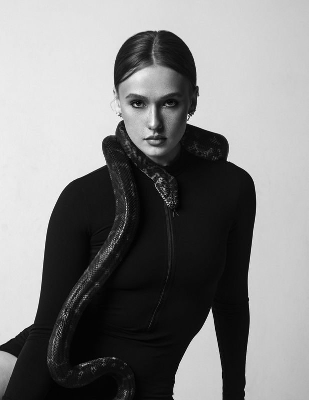 Snake фото превью