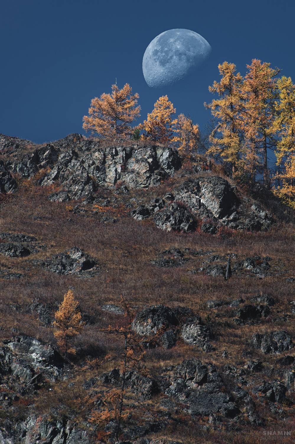 , Константин Шамин