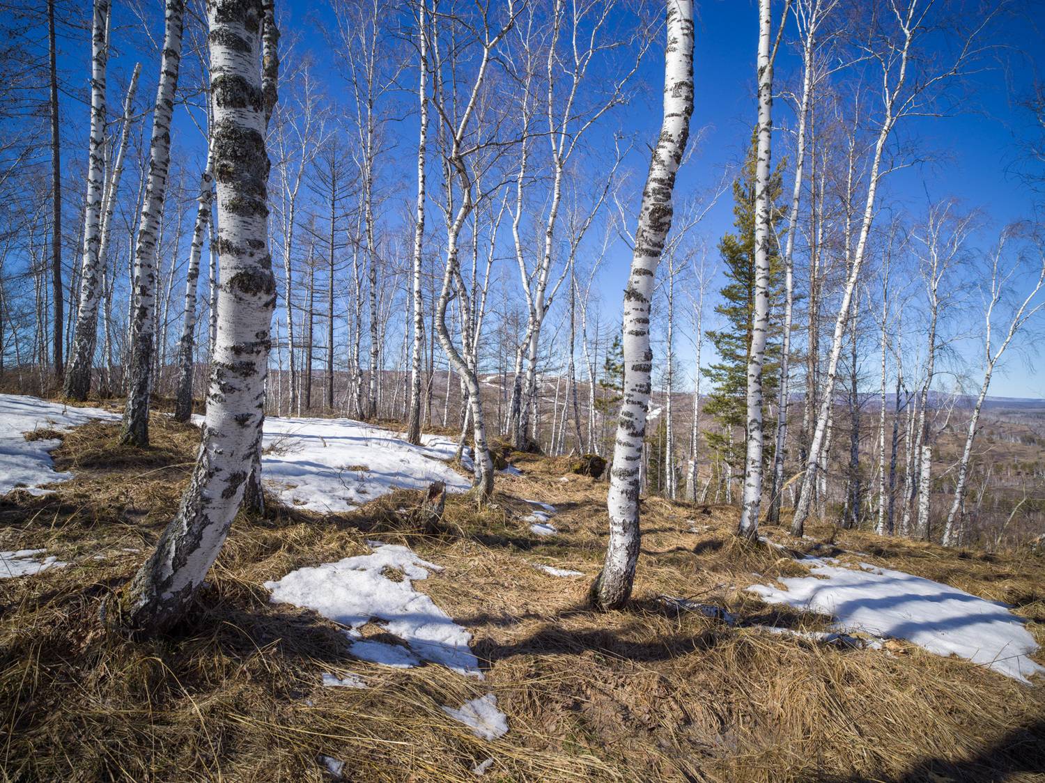 , Шустиков Дмитрий