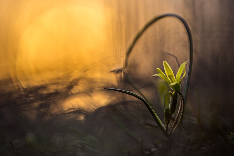 Вечерний танец фото превью