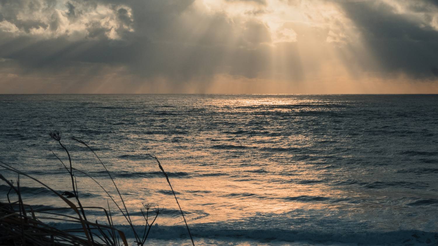 пейзаж, море, камчатка, lumix, явление, Vladimir goiiiguk