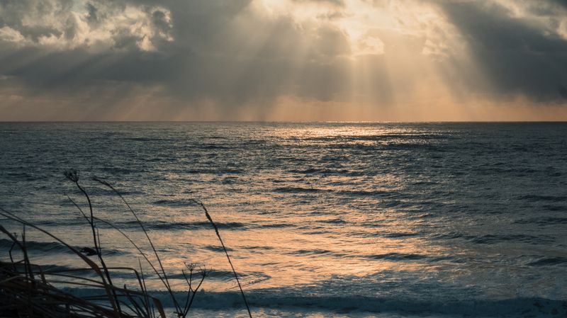 Явление фото превью