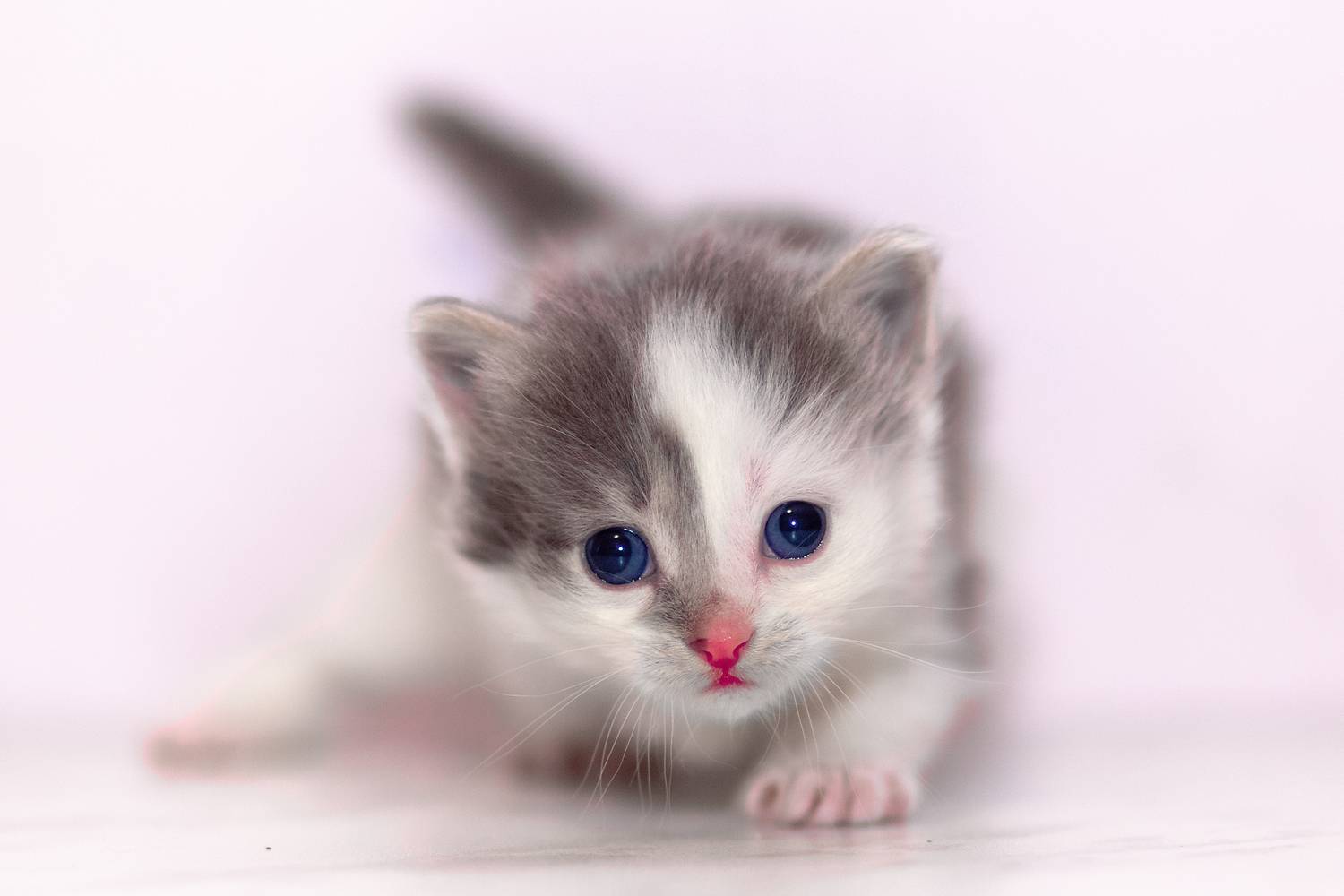 , Холудеев Виктор