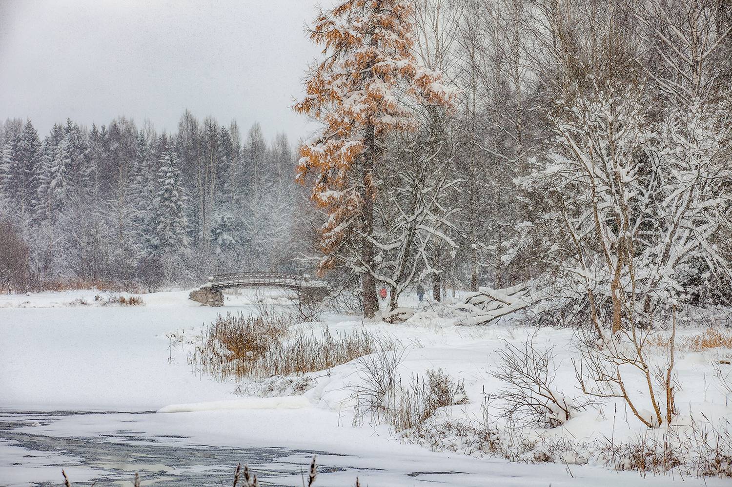 ,  александр михайлов