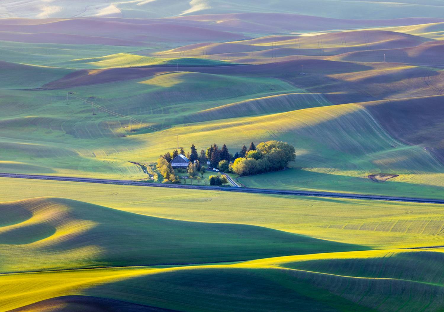 , Лозицкий Александр