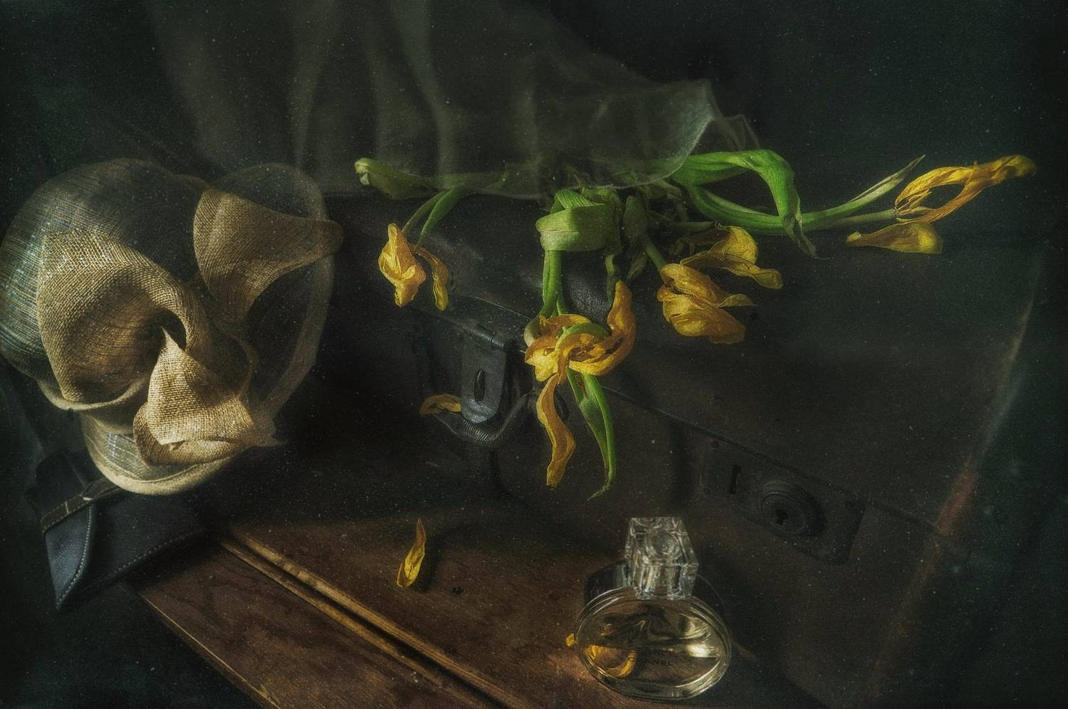 , Ирина Данилова