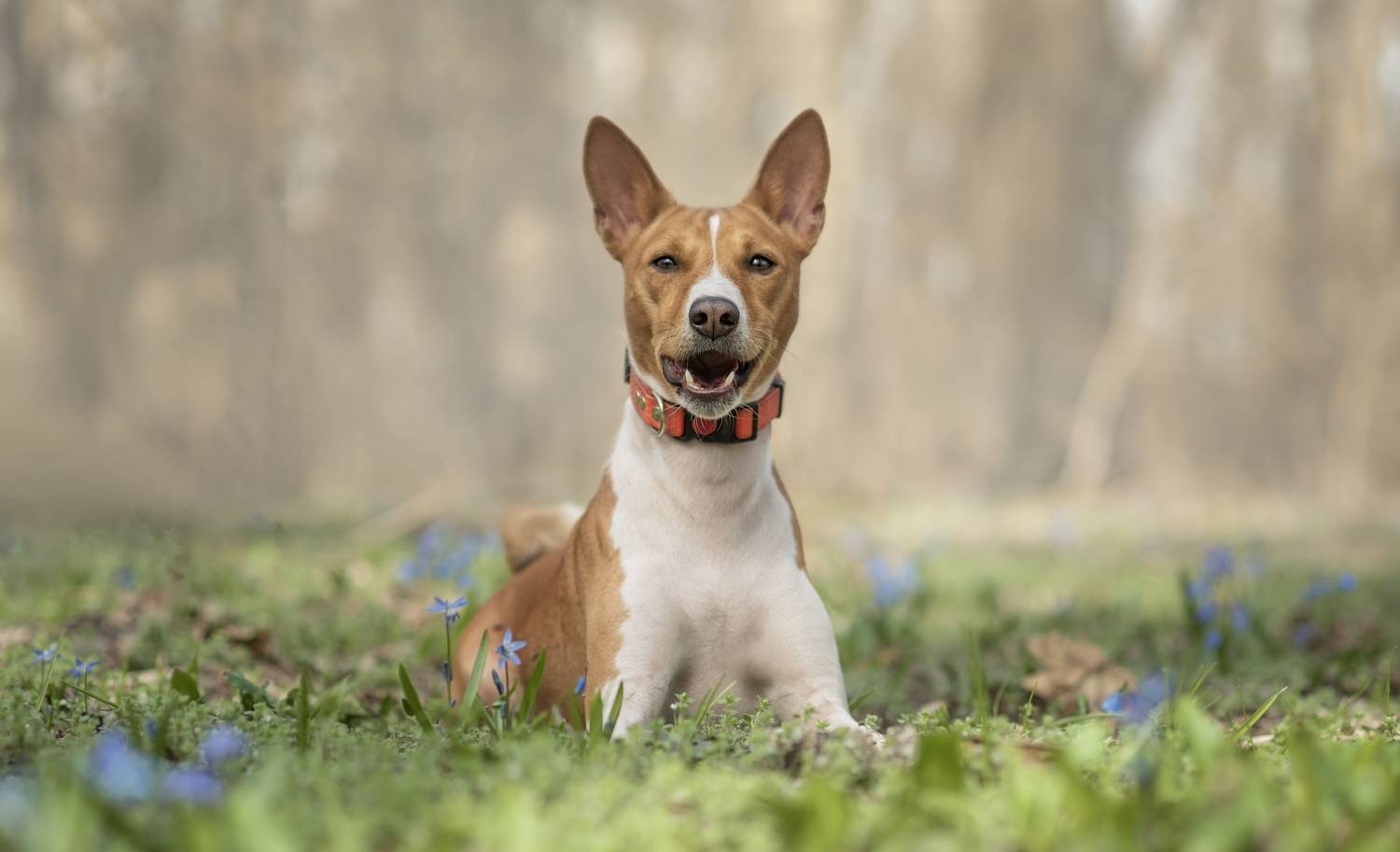 , Яна Кудлай