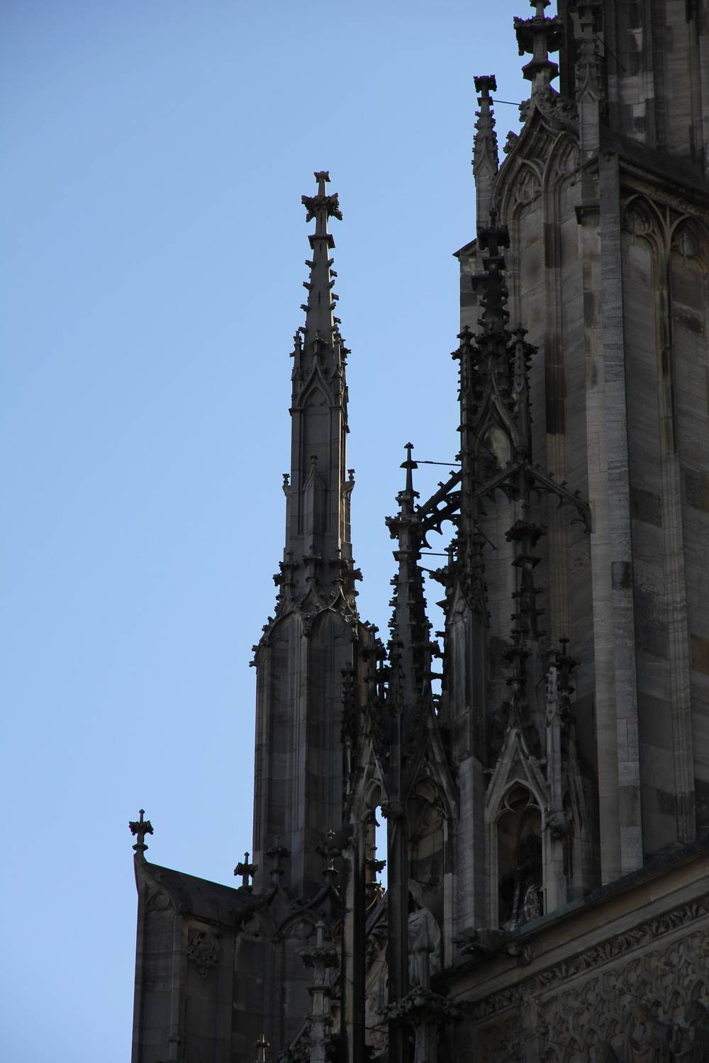 , Бравичева Анастасия