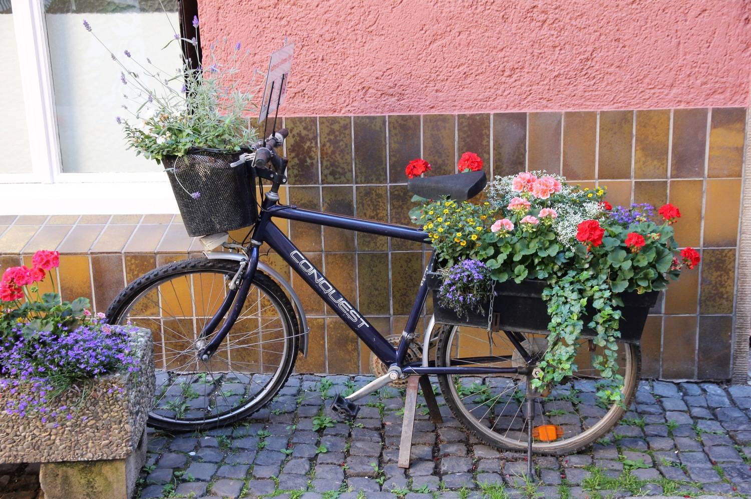 , Бравичева Анастасия