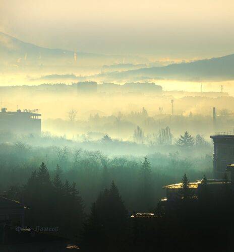 Туманный рассвет