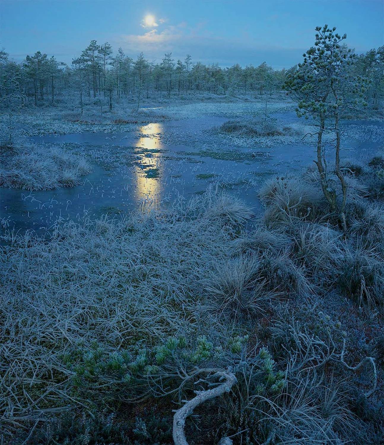 , Петр Косых