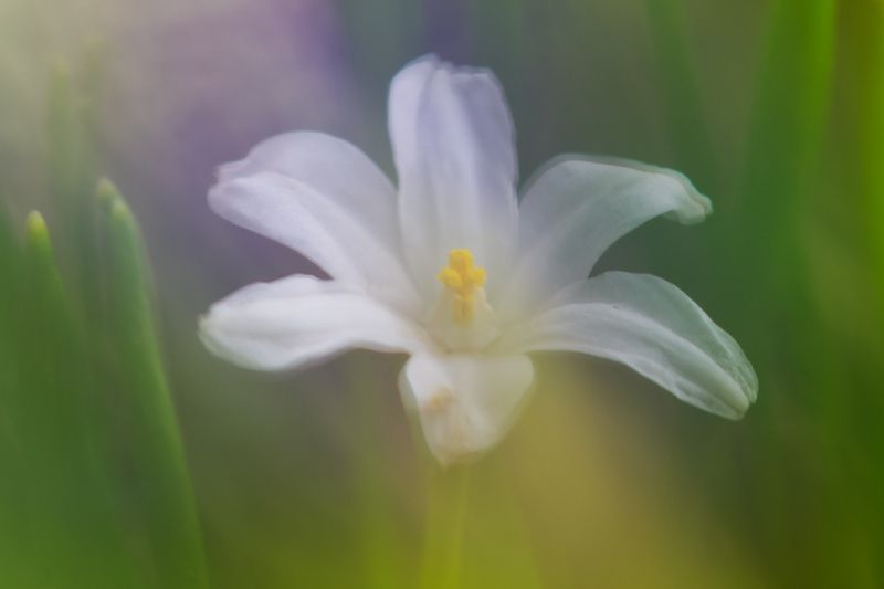 2025 фото превью