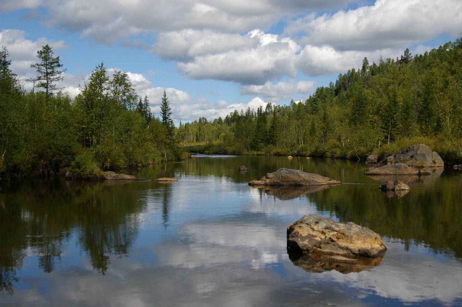 , Ленденёв Владимир