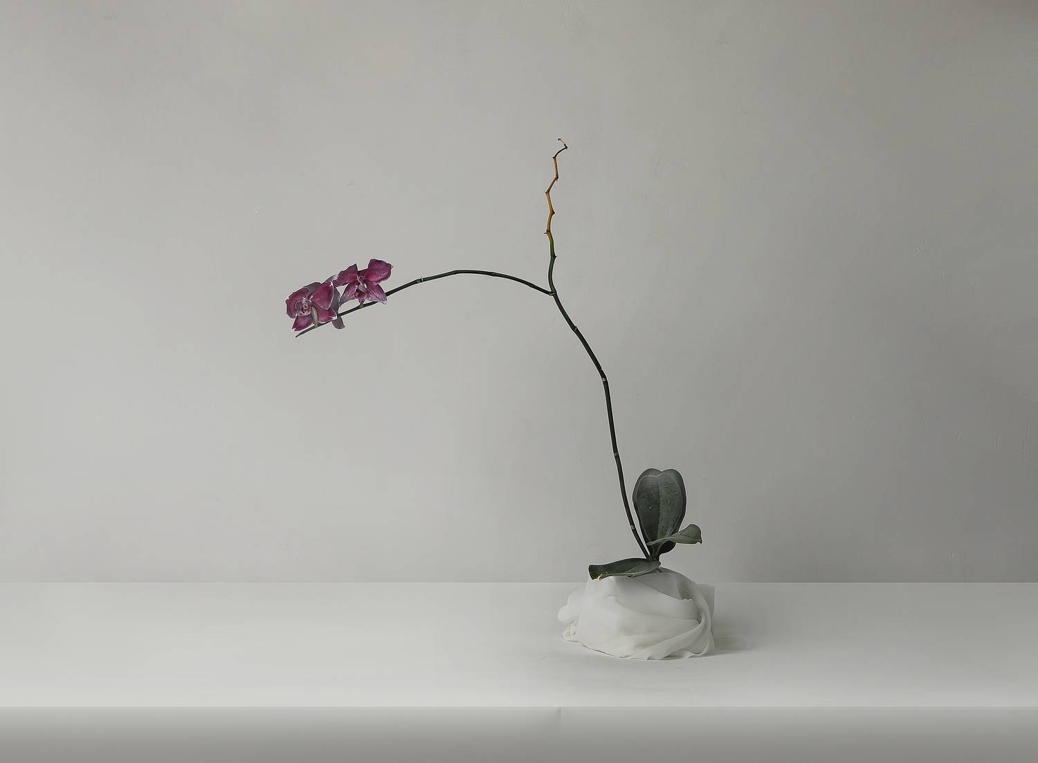 , Туева Наталья