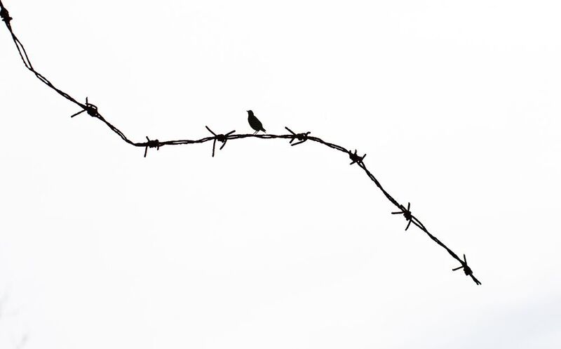 * фото превью