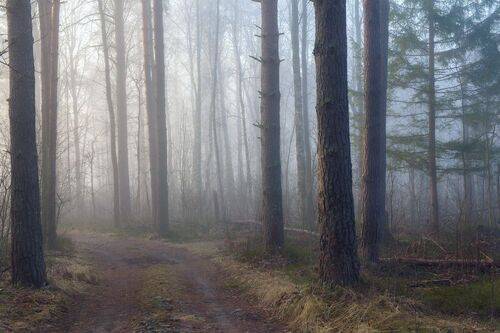 Погружение в надежду