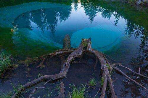 Алтай. Фототуры на Алтай, Монголию, Туву