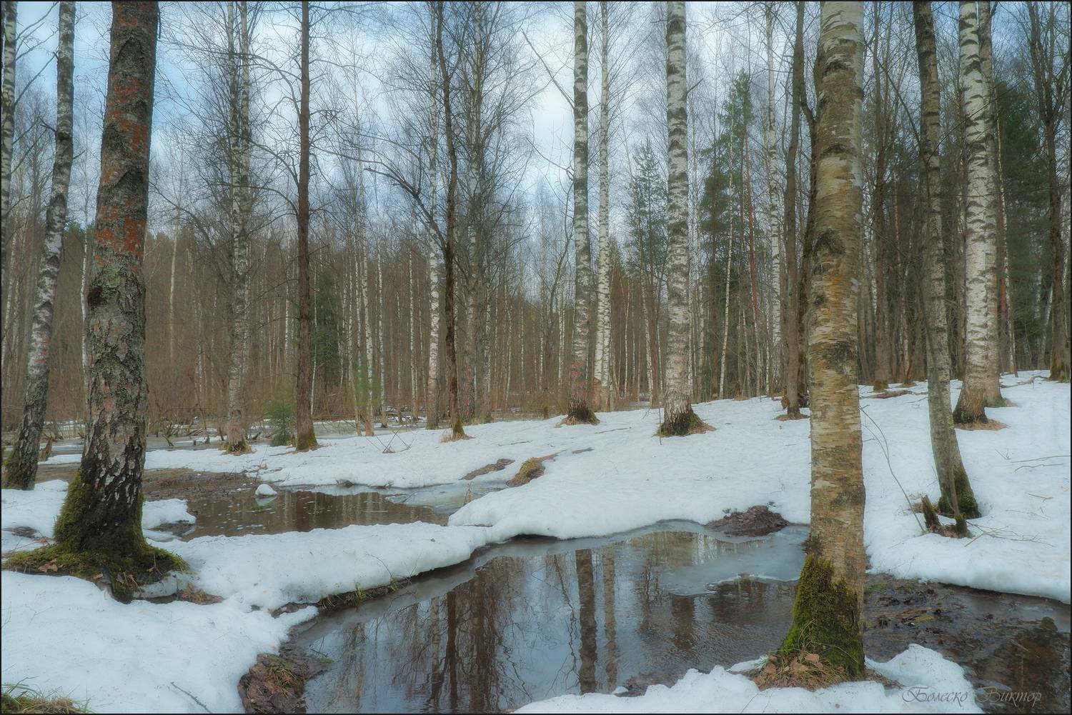 , Болеско Виктор