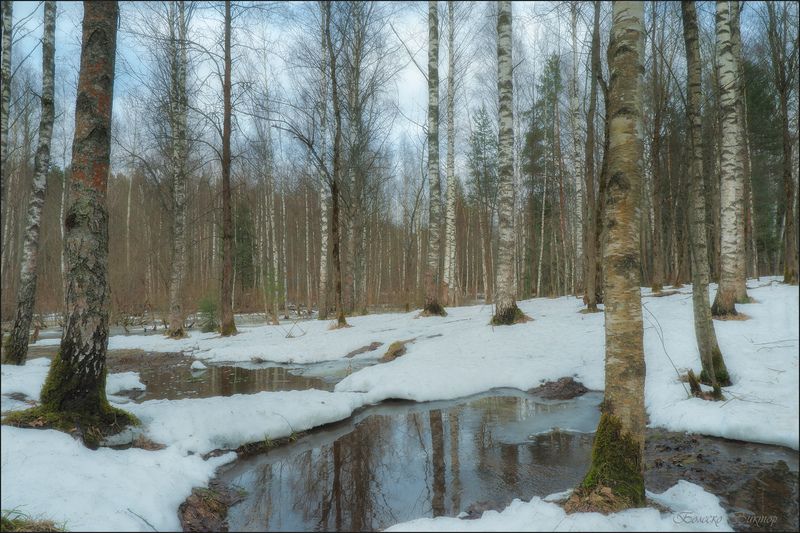 Весне внимая... фото превью