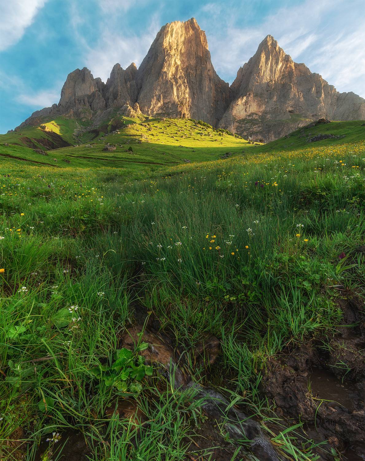 , Колобов Николай