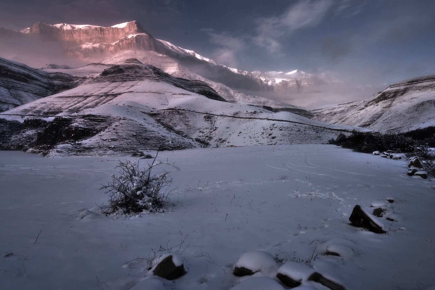 , Алексей Никонов
