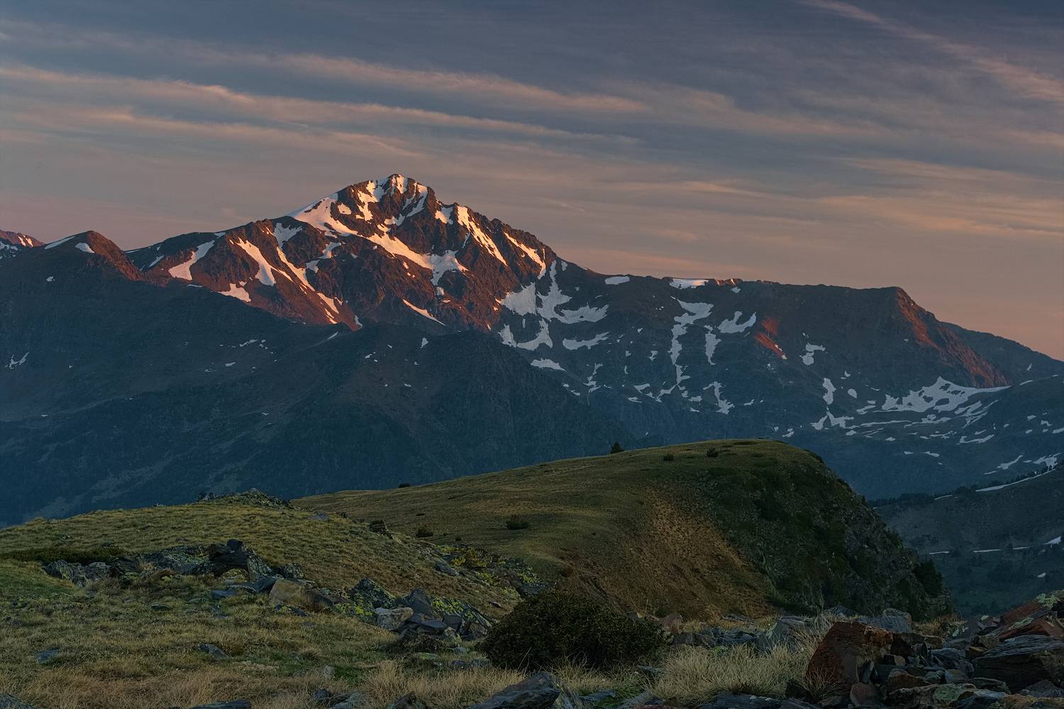 , Wojciech Tarnowski