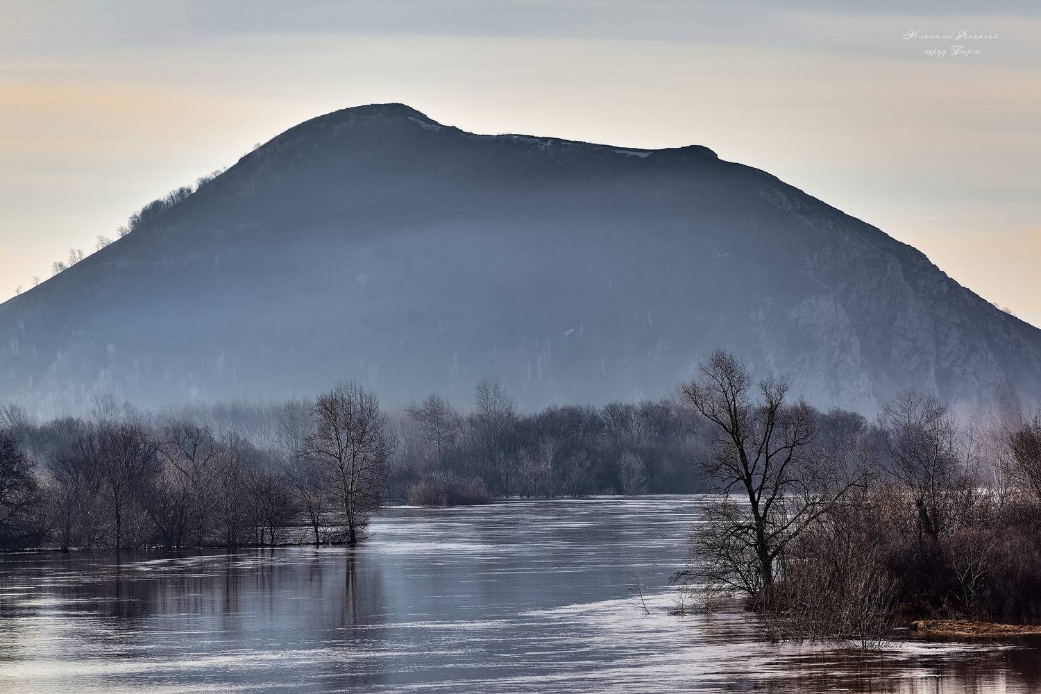 , Никитин Алексей