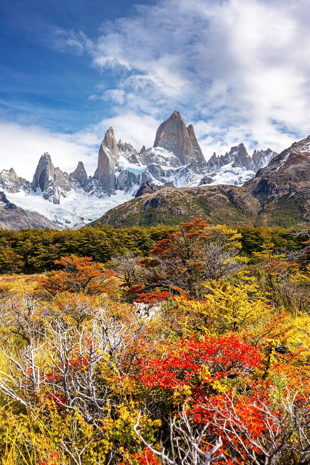 fitz roy, fitzroy, cerro torre, el chalten, chalten, patagonia, argentina, фицрой, серро-торре, эль-чалтен, аргентина, патагония, Уфимцев Юрий