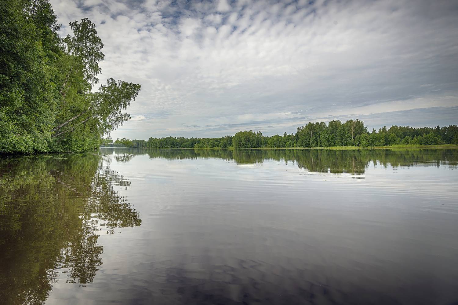 , Сергей Аникин