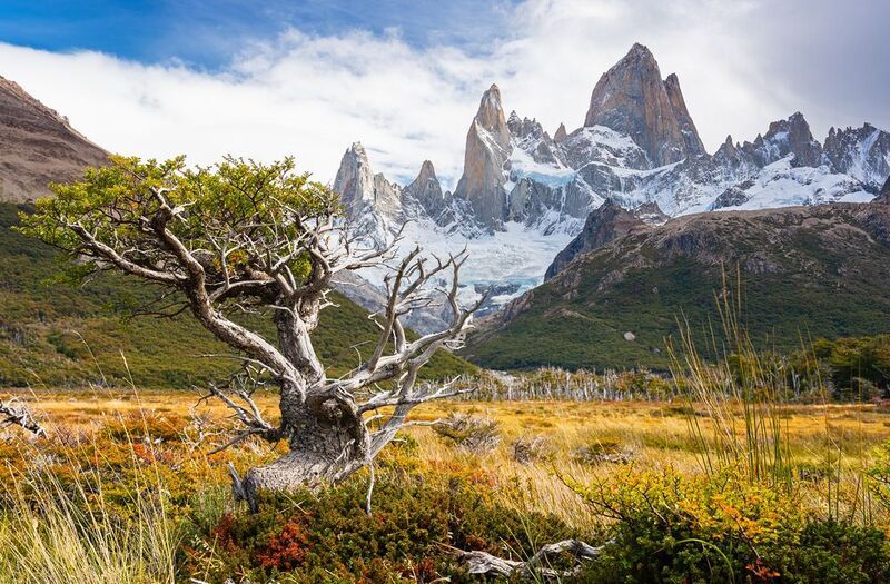 fitz roy, fitzroy, cerro torre, el chalten, chalten,patagonia, argentina, фицрой, серро-торре, эль-чалтен, аргентина, патагония Старые друзья фото превью