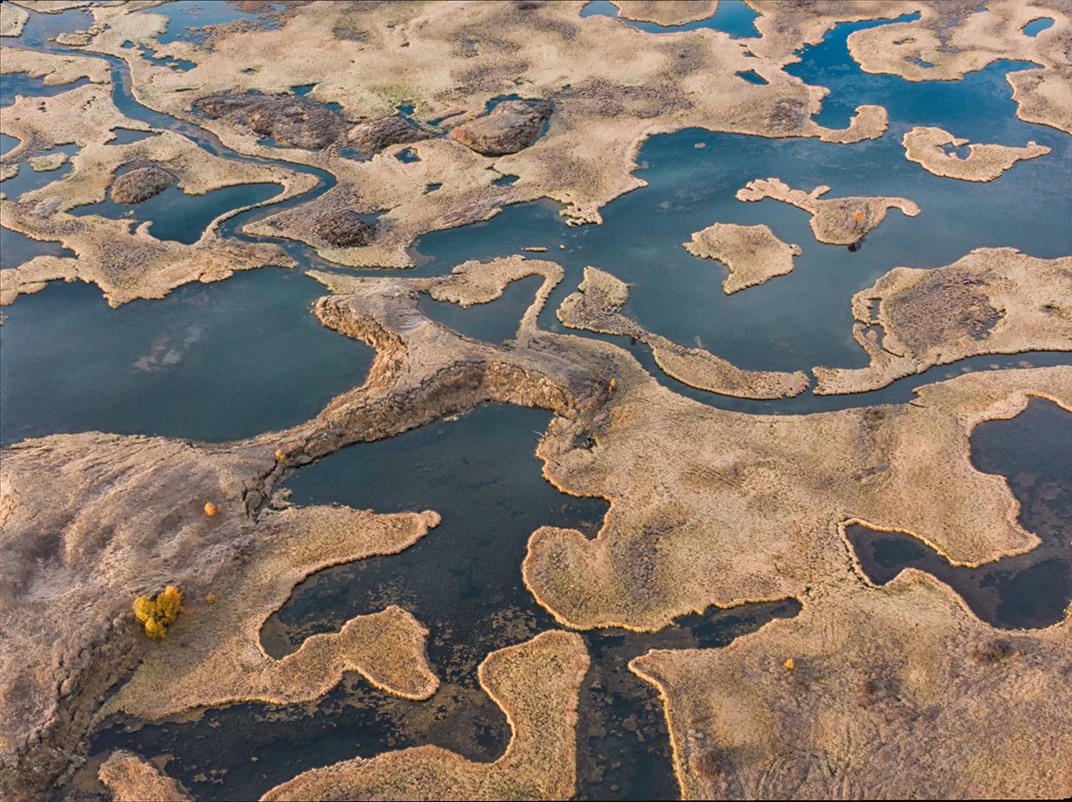 Алтай, Россия, пейзаж,Озеро Джангысколь, дрон,природа, Лариса Дука