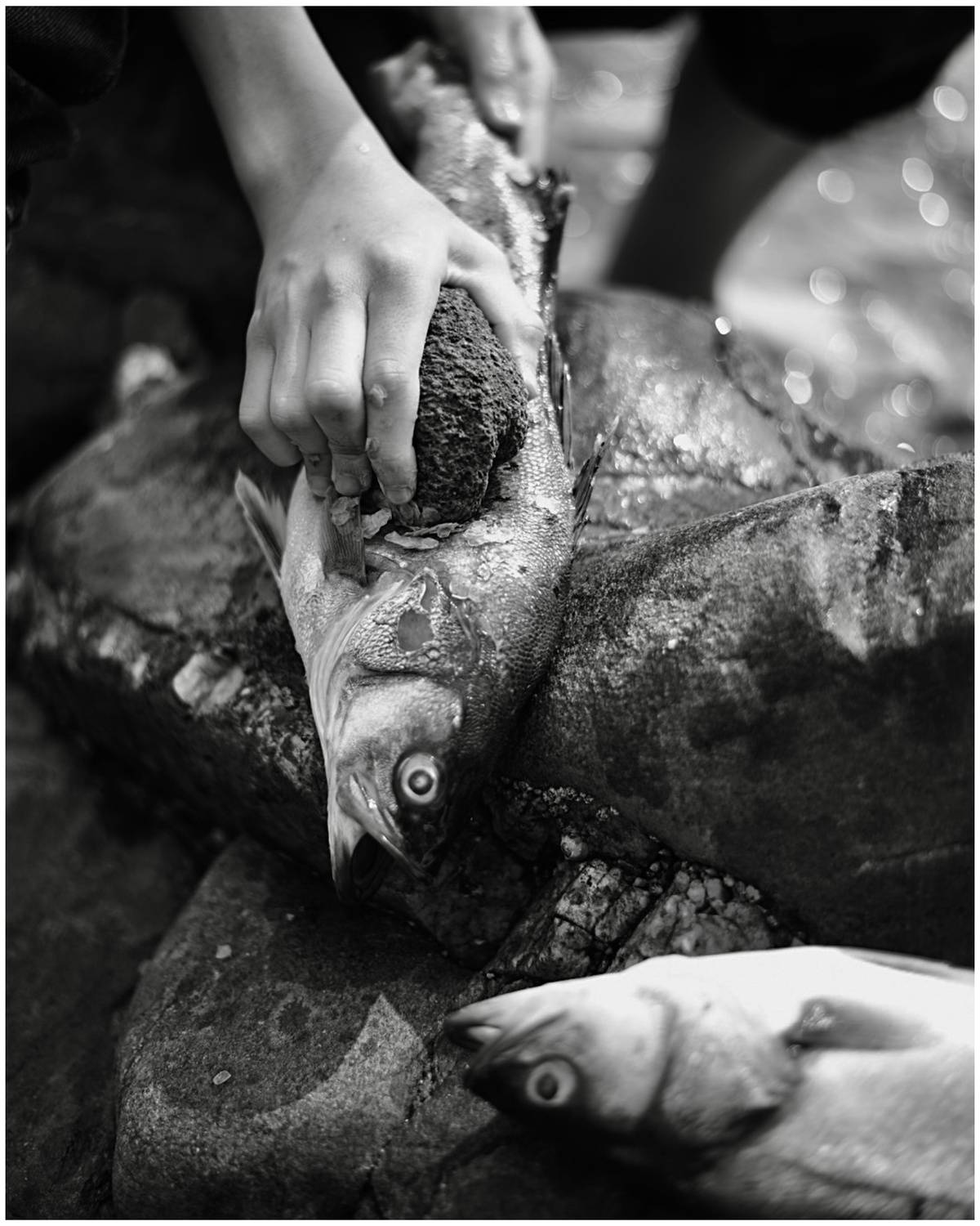 , Щеглова Марина