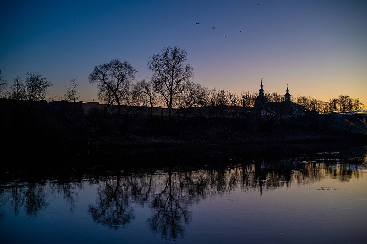 , Николай Смолянкин