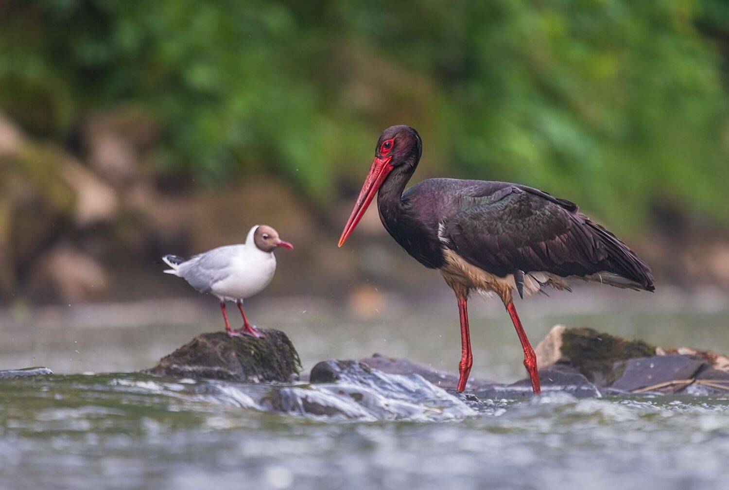 , Sławek Przybylski