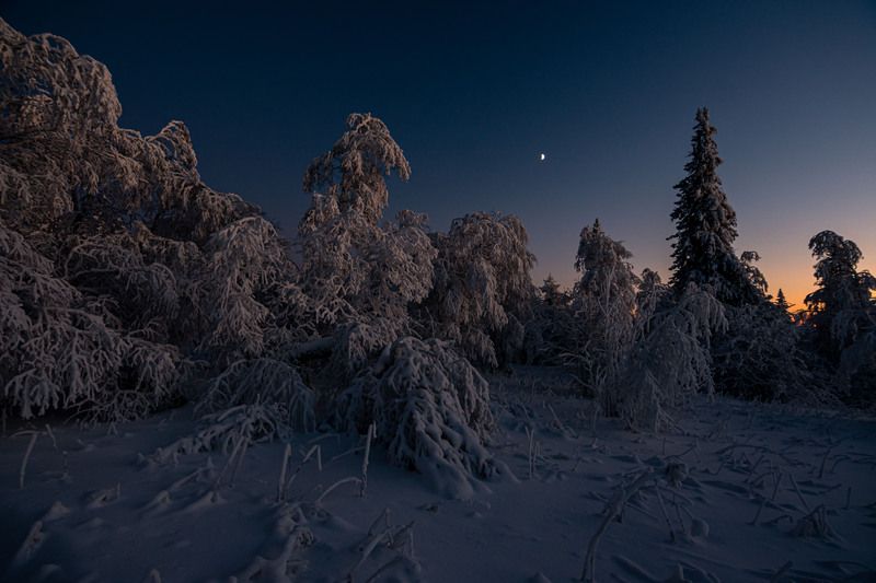 ******* фото превью