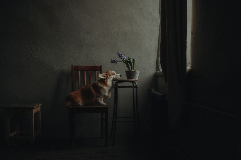 Весенняя меланхолия фото превью