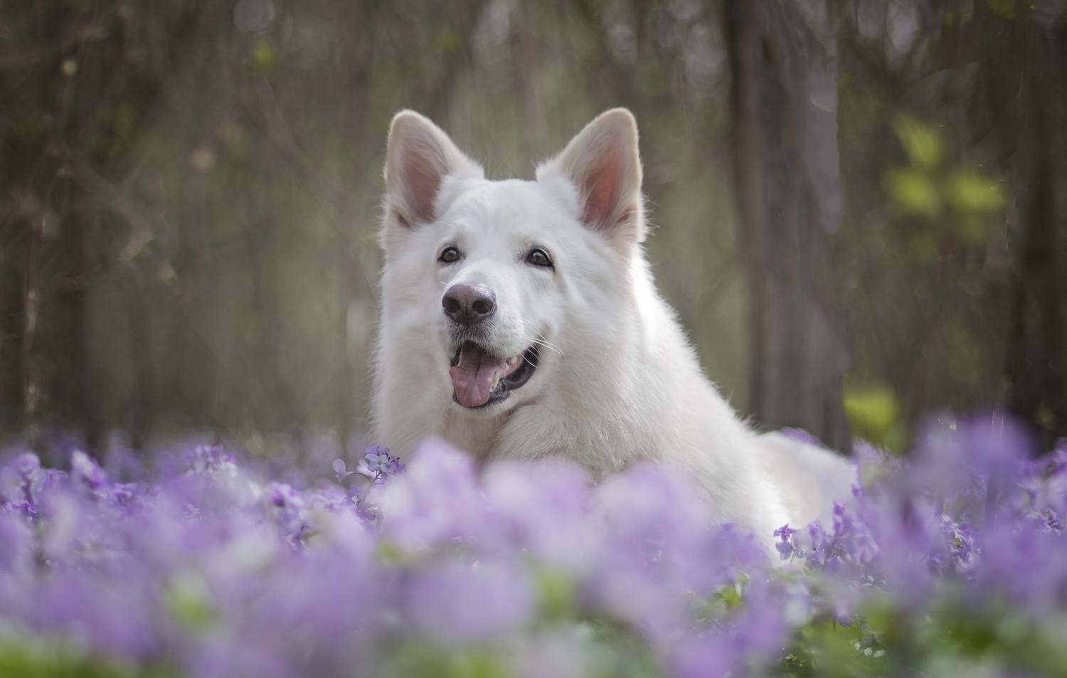 , Яна Кудлай